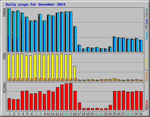 Daily usage for December 2024