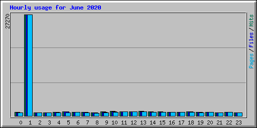 Hourly usage for June 2020