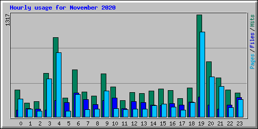 Hourly usage for November 2020