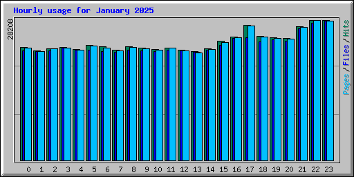 Hourly usage for January 2025