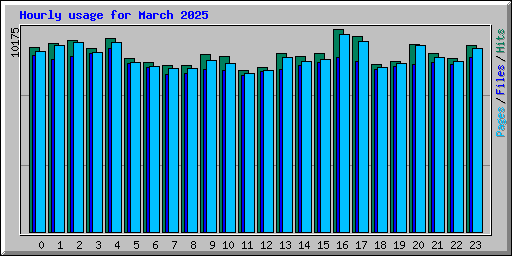 Hourly usage for March 2025