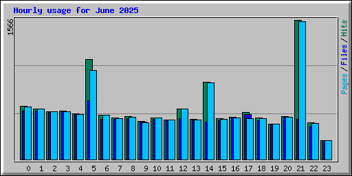 Hourly usage for June 2025