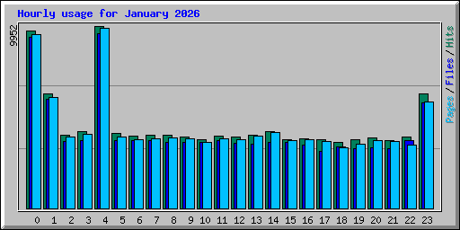 Hourly usage for January 2026