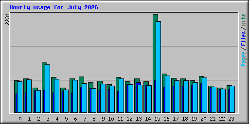 Hourly usage for July 2026